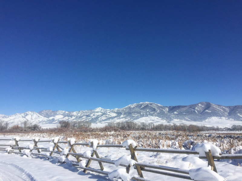 Download The Best Winter Nature Trails In Bozeman Bozeman Real Estate Group